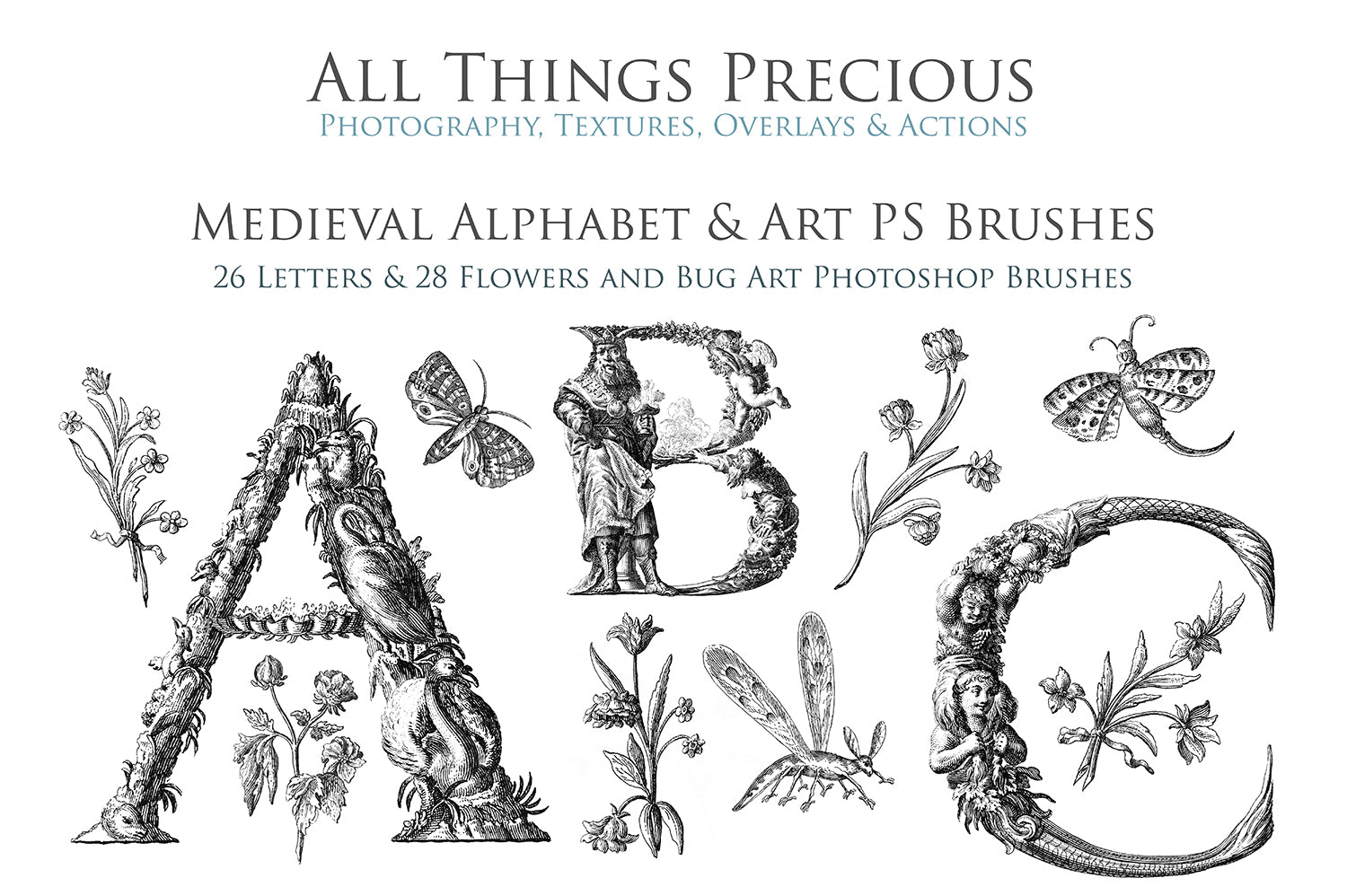 Photoshop brushes for photography and digital design.  Alphabet letters from medieval images. Flowers and bugs. High resolution digital files.  ATP Textures